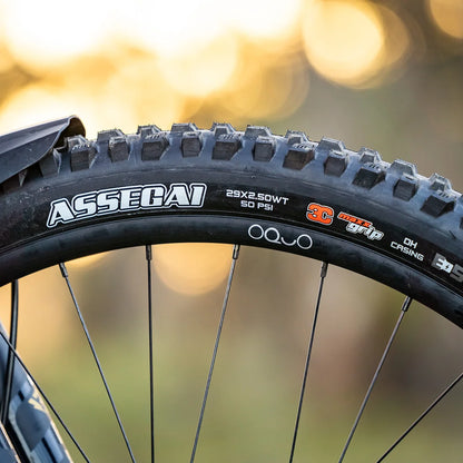 MAXXIS MTB Bicycle Tire 