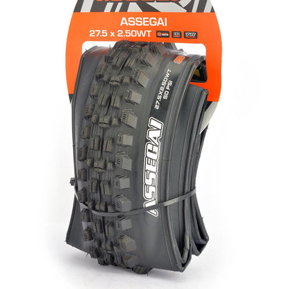 MAXXIS MTB Bicycle Tire 